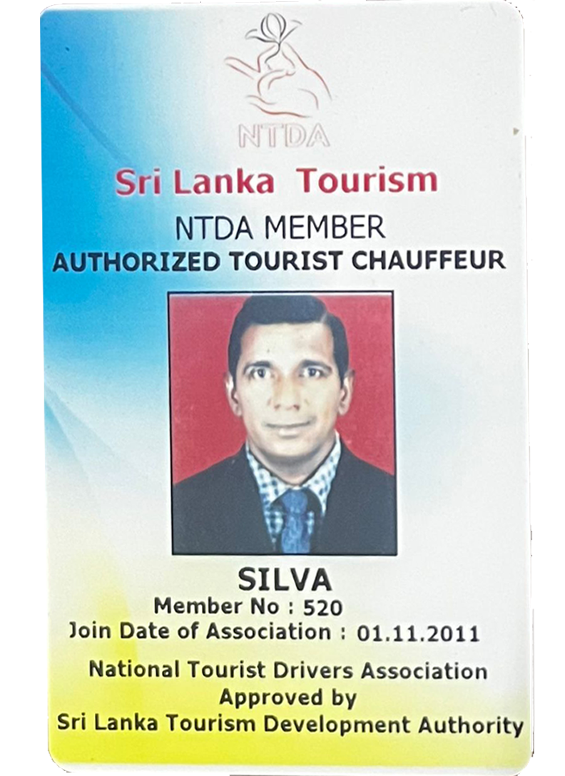 Tour Guide License Front